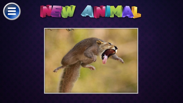 Simulator Morph Animal