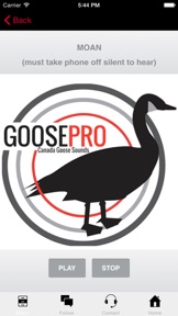 Goose Hunting Calls-Goose Sounds-Goose Call App screenshot