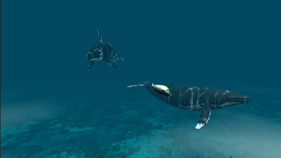 Screenshot #3 pour highlsam