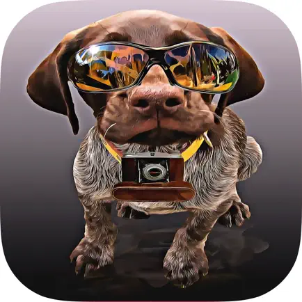 Dogs Quiz - Guess The Hidden Object that What’s Breeds of Dog? Читы