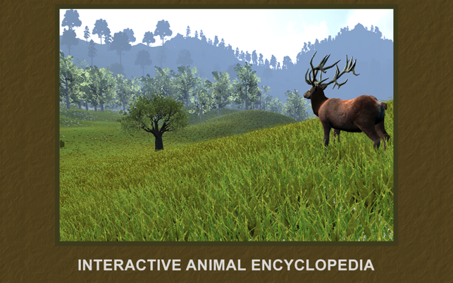Explain 3D Forest animals