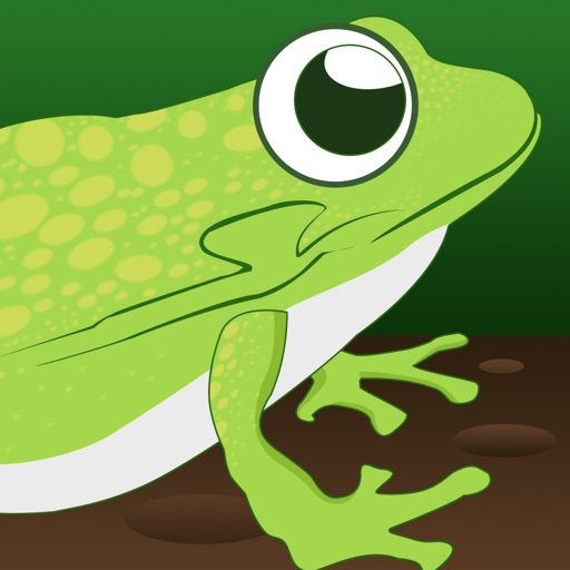 Lazy Frog Pond Race Pro - crazy fast racing arcade game Icon