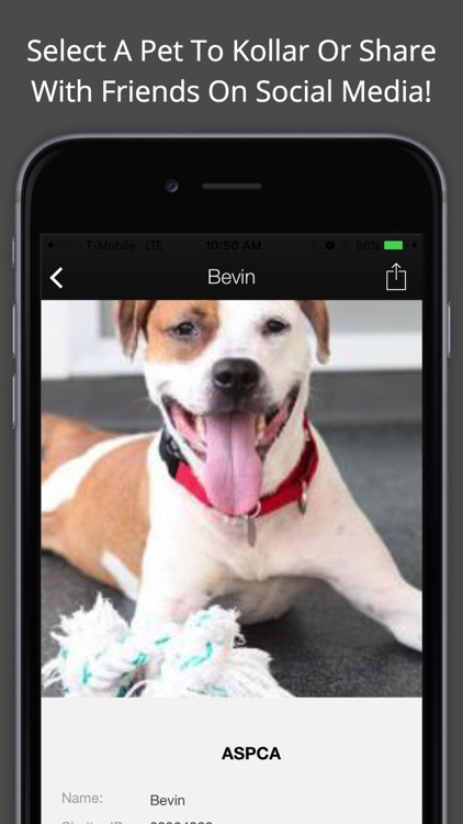 Kollared screenshot-3