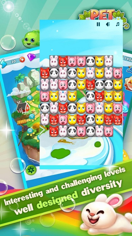 Pet Star Match 3 Puzzle