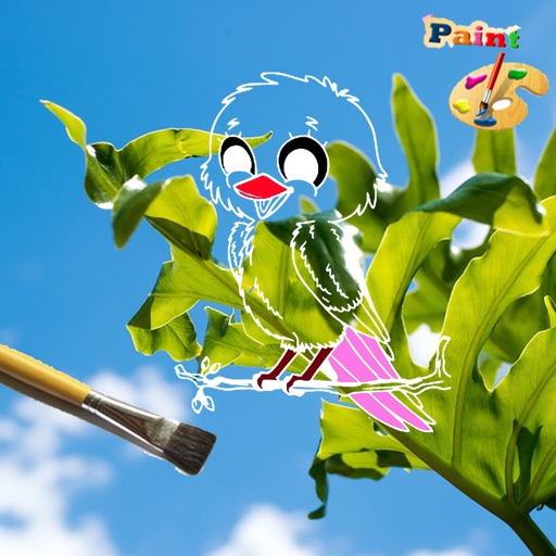 Book colouring For Angry bird Version iOS App