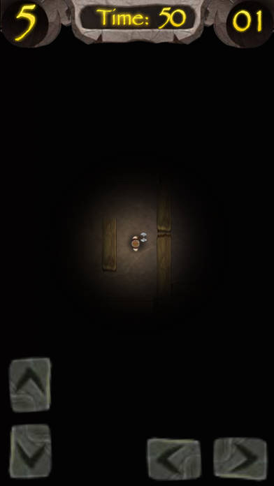 Screenshot #2 pour Prince Viking in Dungeon