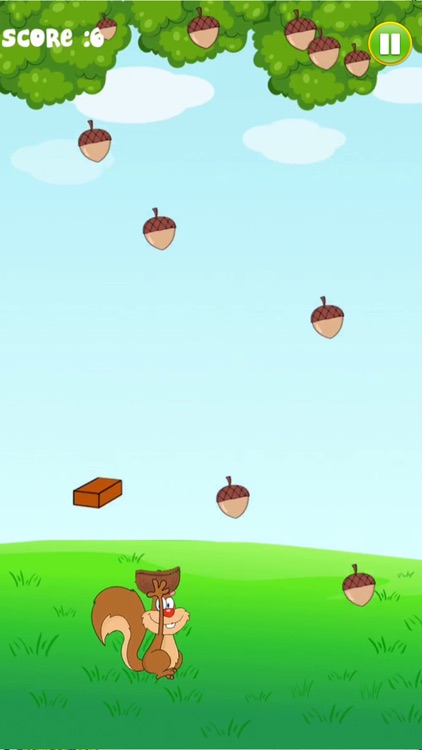 Grab the nuts – A Squirrel Quest