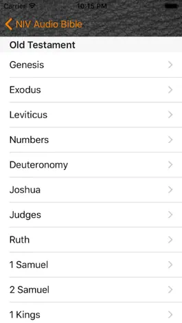 Game screenshot NIV Audio Bible hack