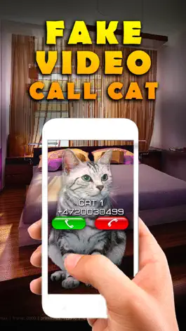 Game screenshot Fake Video Call Cat mod apk