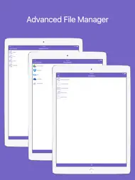 Music Player - Player for lossless music ipad bilder 3