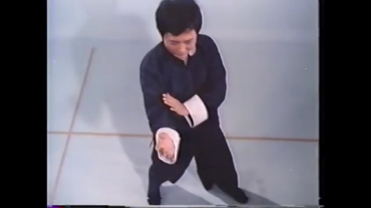 Teach Yourself Wing Chun screenshot-3