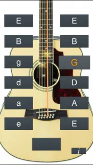 12-string guitar tuner simple iphone images 2