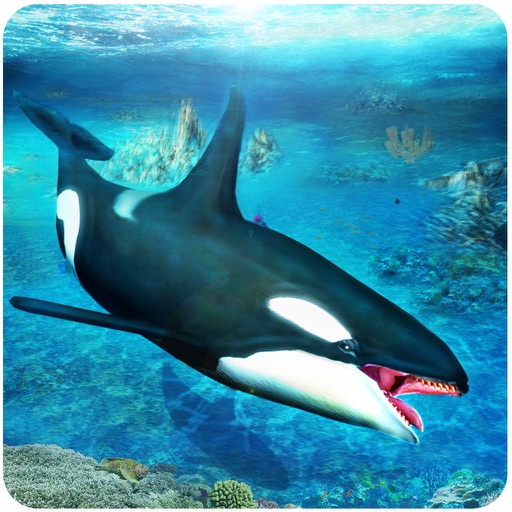 Killer Whale Simulator 3D – An Orca simulation game icon