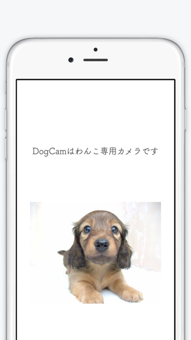 Screenshot #1 pour Dog-Lover-Cam