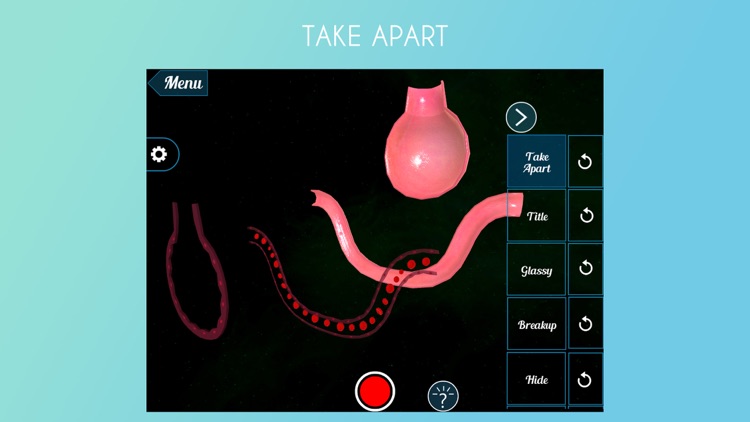 Section of Alveolus 3D