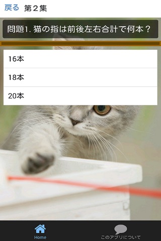 猫クイズ-かわいい猫のクイズ screenshot 2
