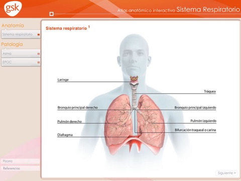 Atlas Respiratorio GSK screenshot 2