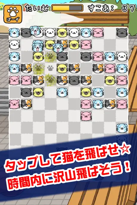 ねこあわせ。