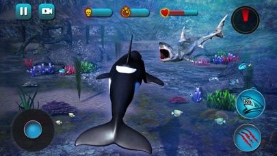 How to cancel & delete Killer Whale Beach Attack 3D from iphone & ipad 3