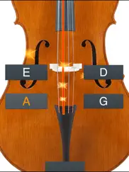 double bass tuner simple ipad images 2