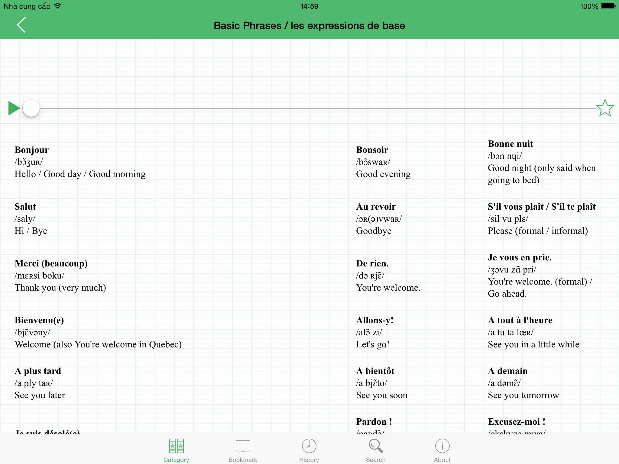 French Tutorial: Basic Phrases, Vocabulary and Grammar with Pronunciation