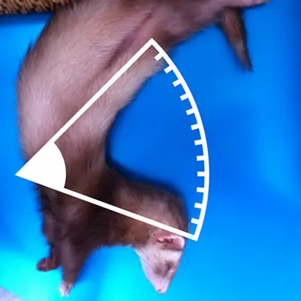 Photo Protractor Читы