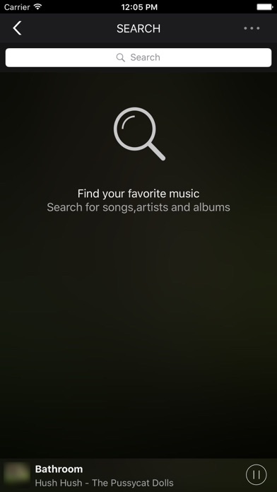 Screenshot #2 pour AudioSonic