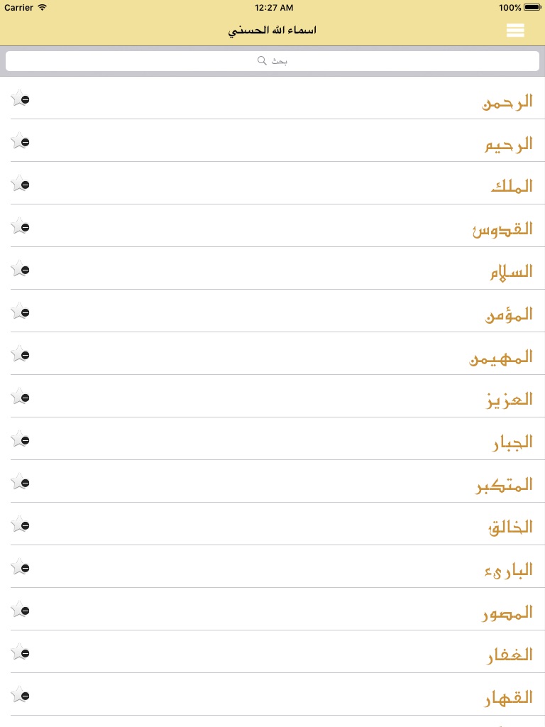 iPad screenshot