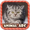 Animal Picture Know ABC