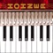 Hohner announces a brand new music app for the iPad: The Hohner Piano SqueezeBox