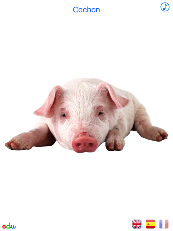 Screenshot #4 pour Animaux Animés Multilingue - Gratuit