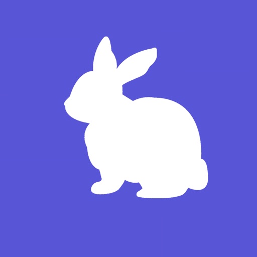 Bunny Boom. Icon