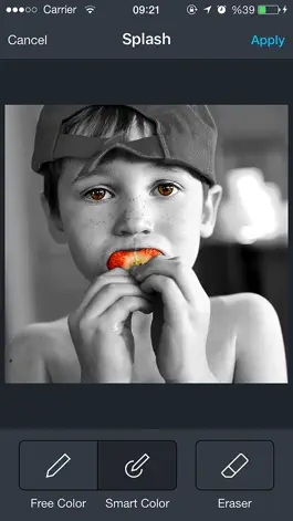 Game screenshot Photofect hack