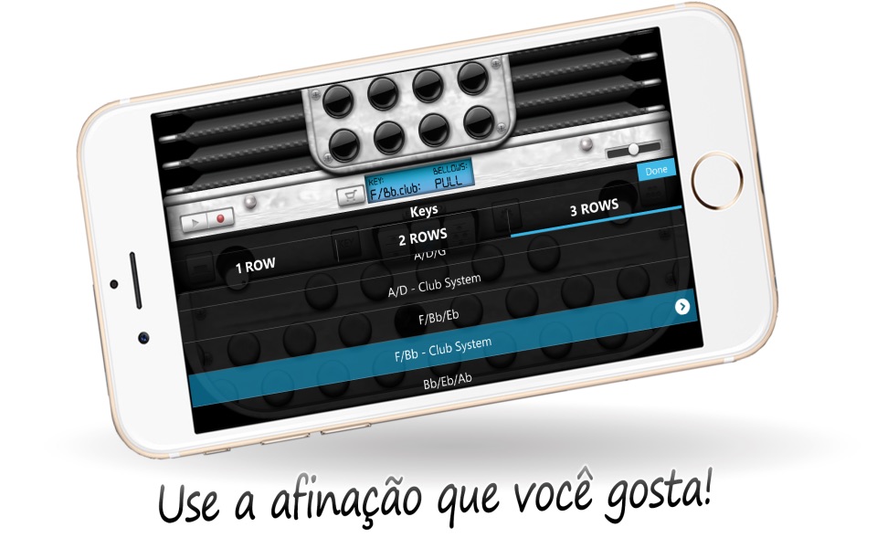 Diatonic Button Accordion Free screenshot 4