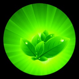 Herbs as Medicine Lite