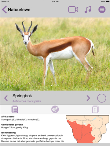 Screenshot #6 pour Sasol Natuurlewe vir Beginners (Lite): Blitsfeite, foto's en video's van 46 Suider-Afrikaanse diere
