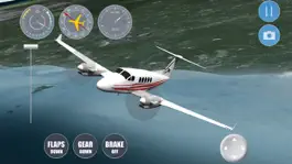 Game screenshot Airplane Singapore hack