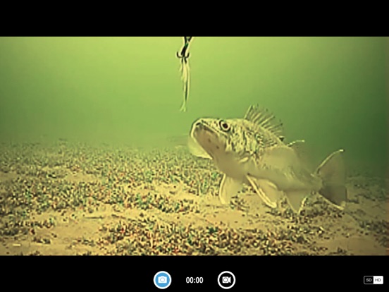 Screenshot #5 pour FishSens SondeCAM