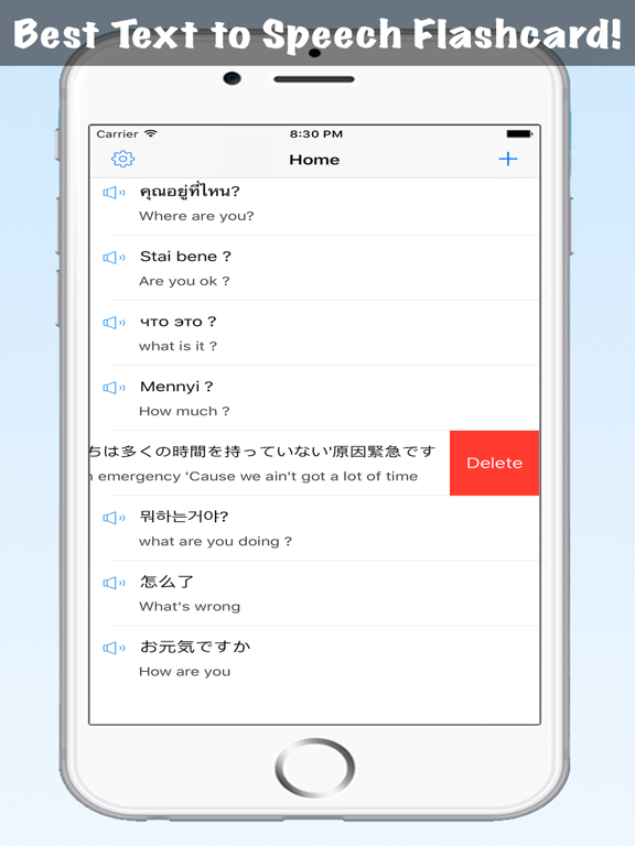 Text to Speech Voice Flashcard - TTS Voices App Engine with Vocabulary Flash Card Maker iPad screenshot