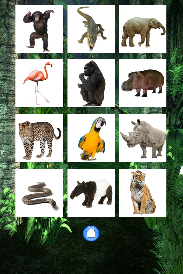 Jungle animals Free screenshot 2