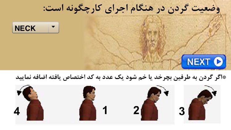 HSE.Ergo.RULA(Persian) screenshot-3