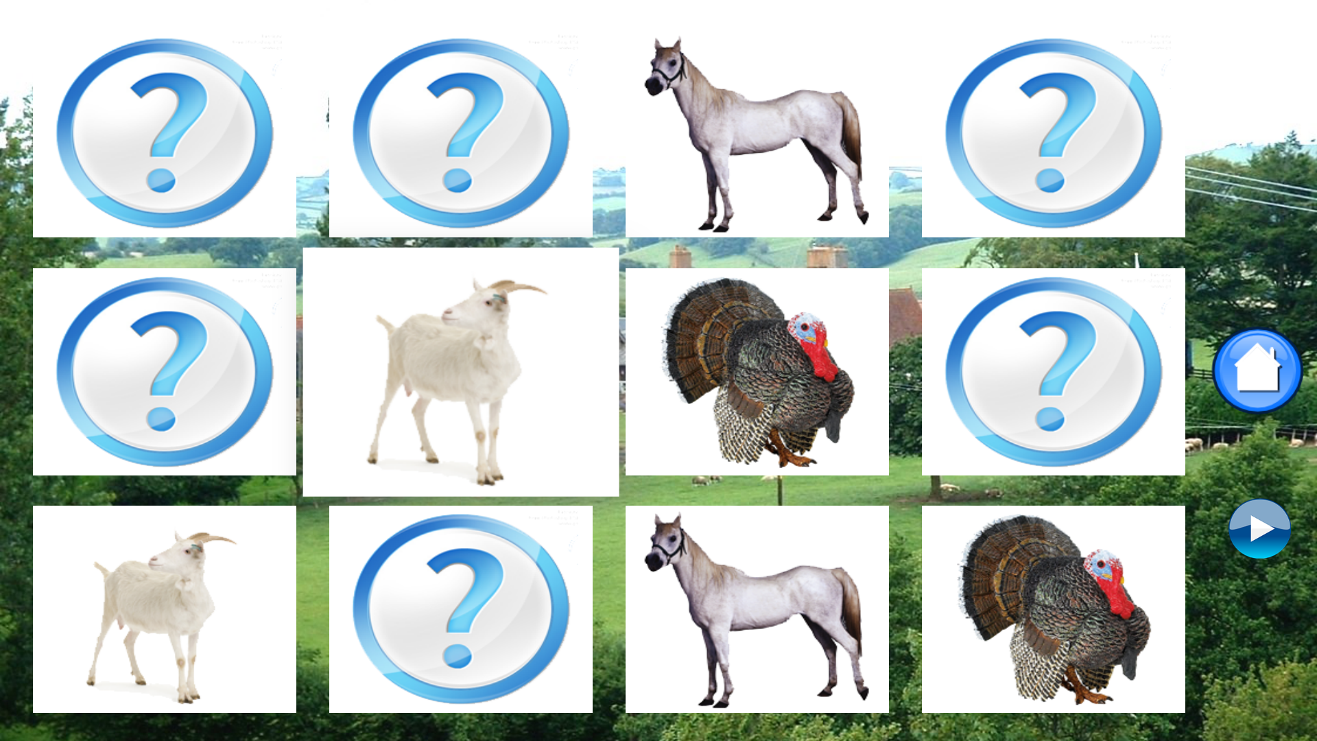Sounds of Farm Animals screenshot 11