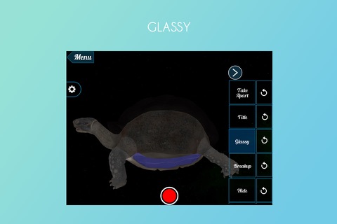 Tortoise 3D screenshot 4
