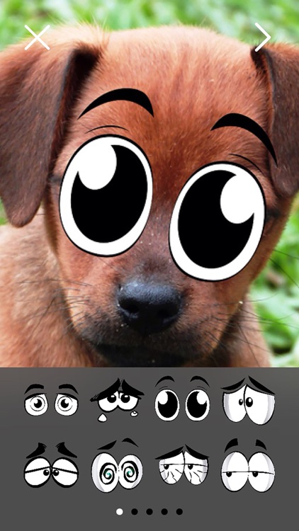 Chompi Eyes FREE Photo Stickers