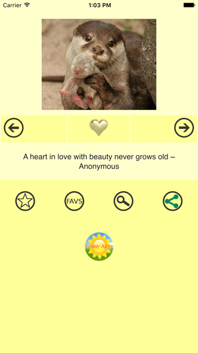 How to cancel & delete Love Quotes & Pictures from iphone & ipad 1