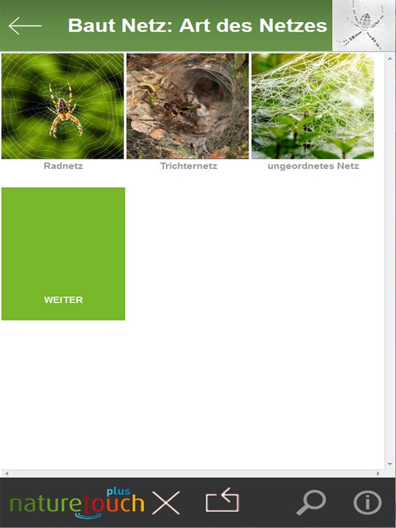 Screenshot #5 pour Spinnen und Spinnentiere bestimmen