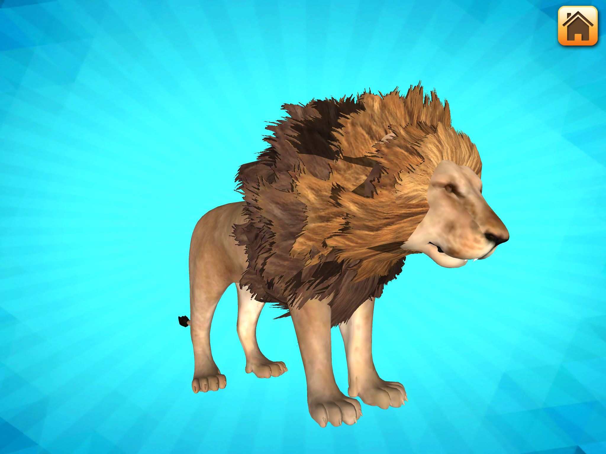 3D LEARNING CARD SAFARI screenshot 10