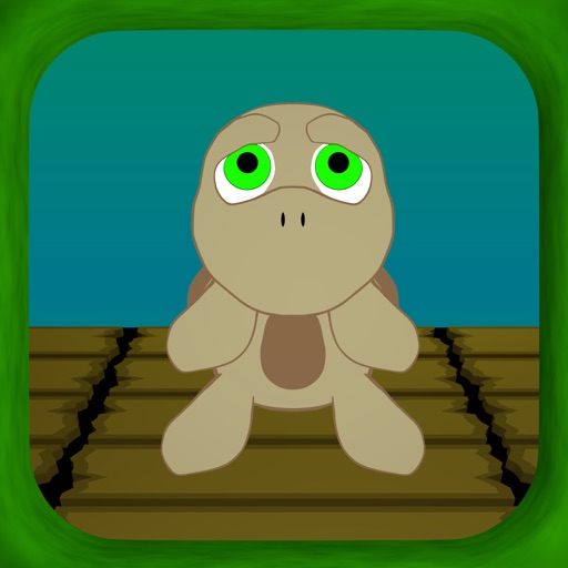 Little Turtle 20 Levels icon