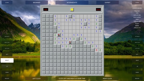 Screenshot #2 for Screen Minesweeper