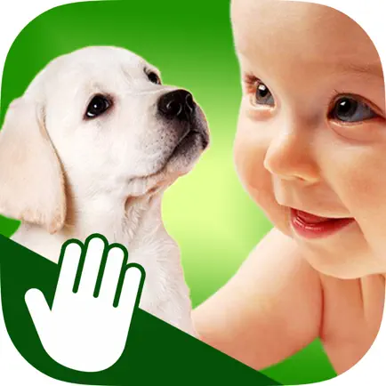 ASL Animals Читы